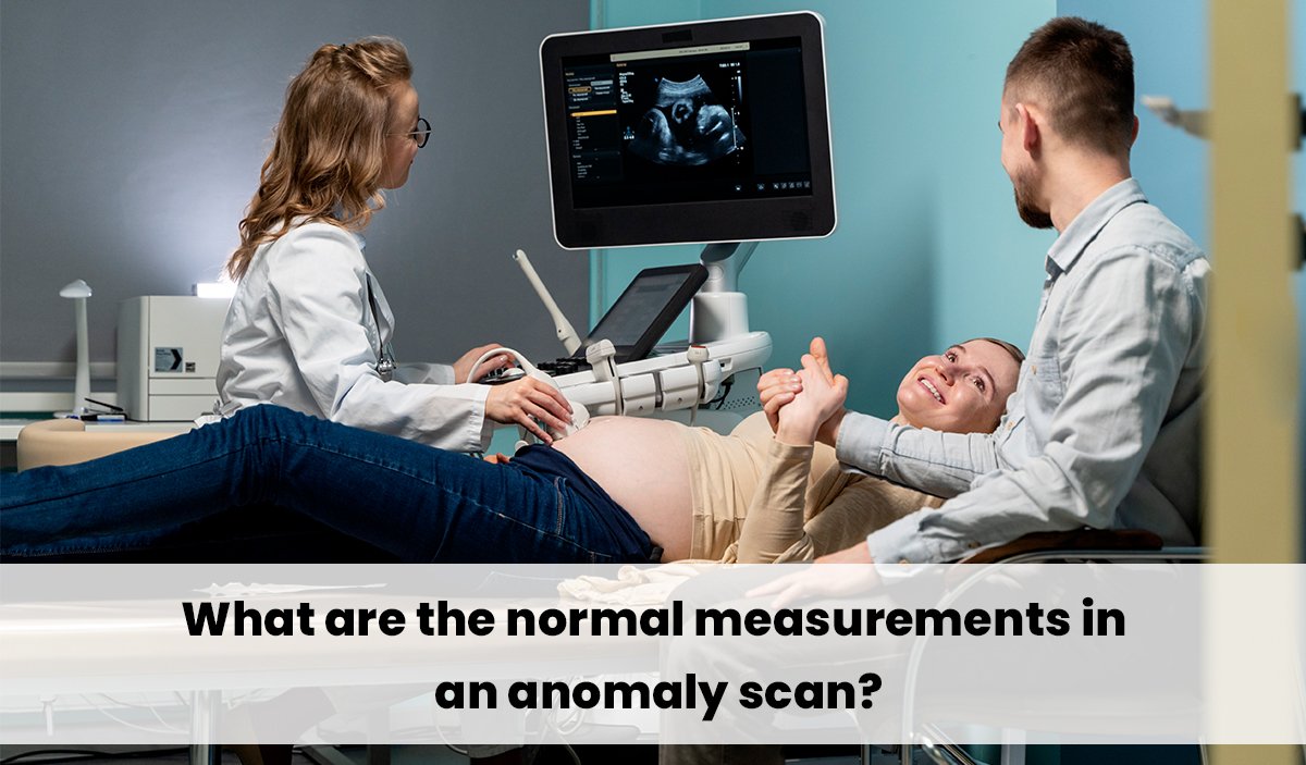 What are the normal measurements in an anomaly scan