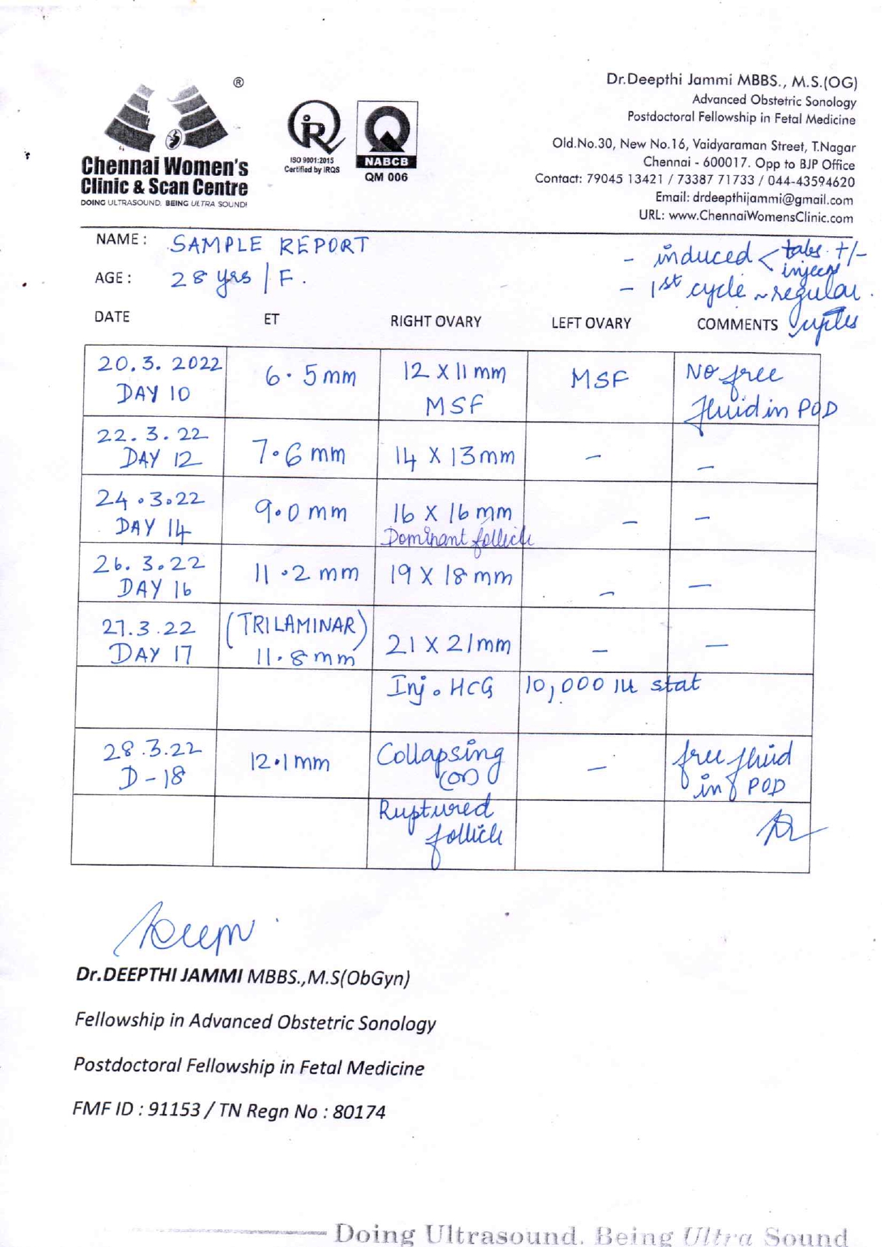 Normal Report Sample