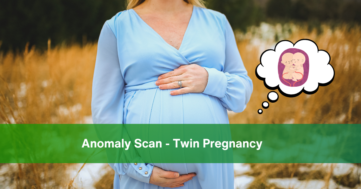 Anomaly Scan Twin Pregnancy