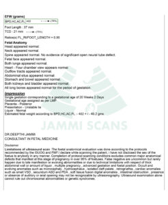 Anomaly scan report normal (20-24 weeks)