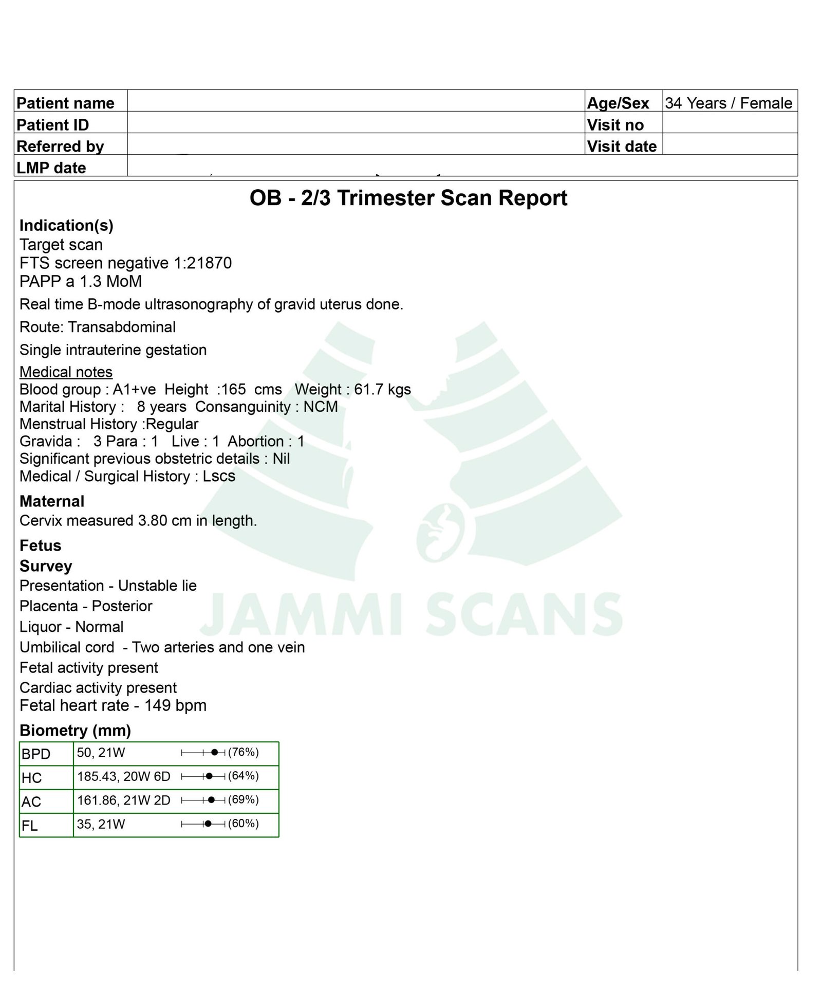 anomaly scan report