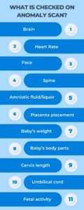 Anomaly scan report normal (20-24 weeks)