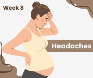 Pregnancy Symptoms Week by Week: 1- 40 Weeks - A Complete Guide