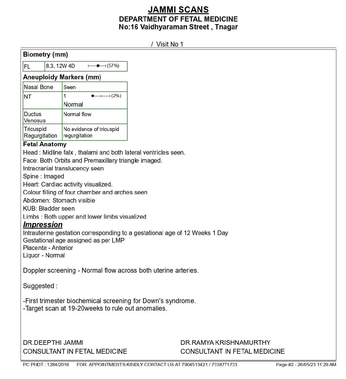 Normal NT Scan Report Sample