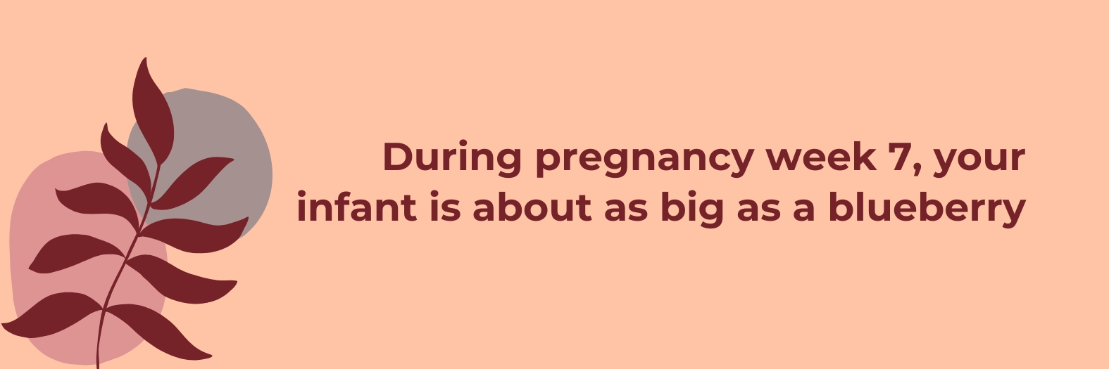 Pregnancy Week 7: Baby’s Growth and Mother’s Health