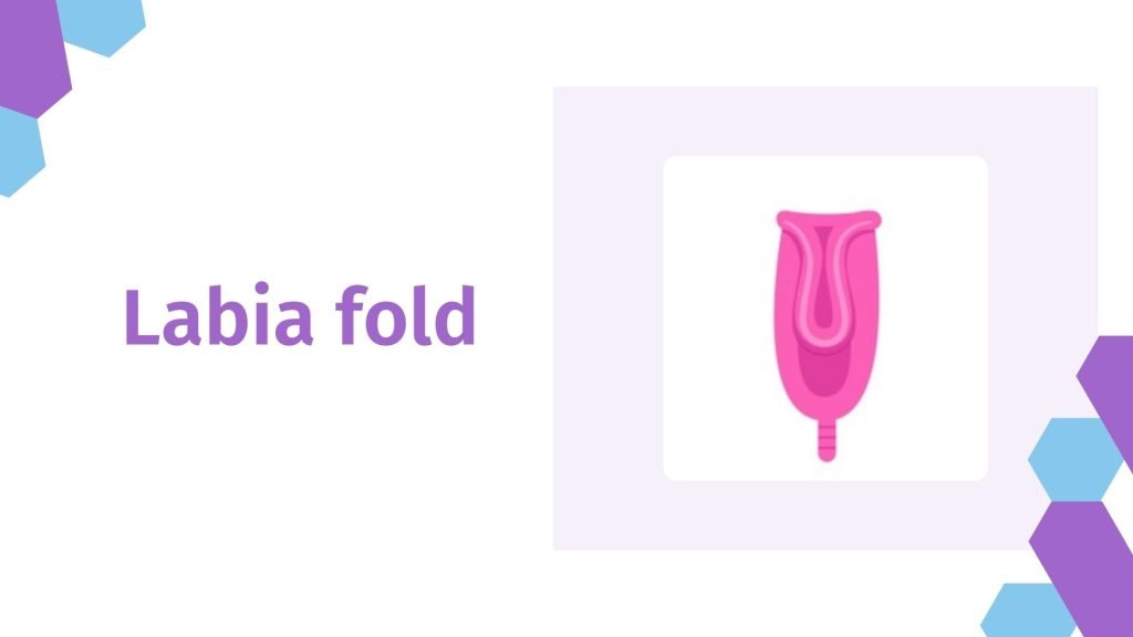 labia fold
