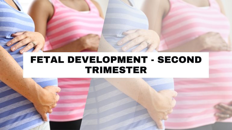 The Ultimate Guide to Pregnancy: Symptoms, Body Changes, Fetal ...