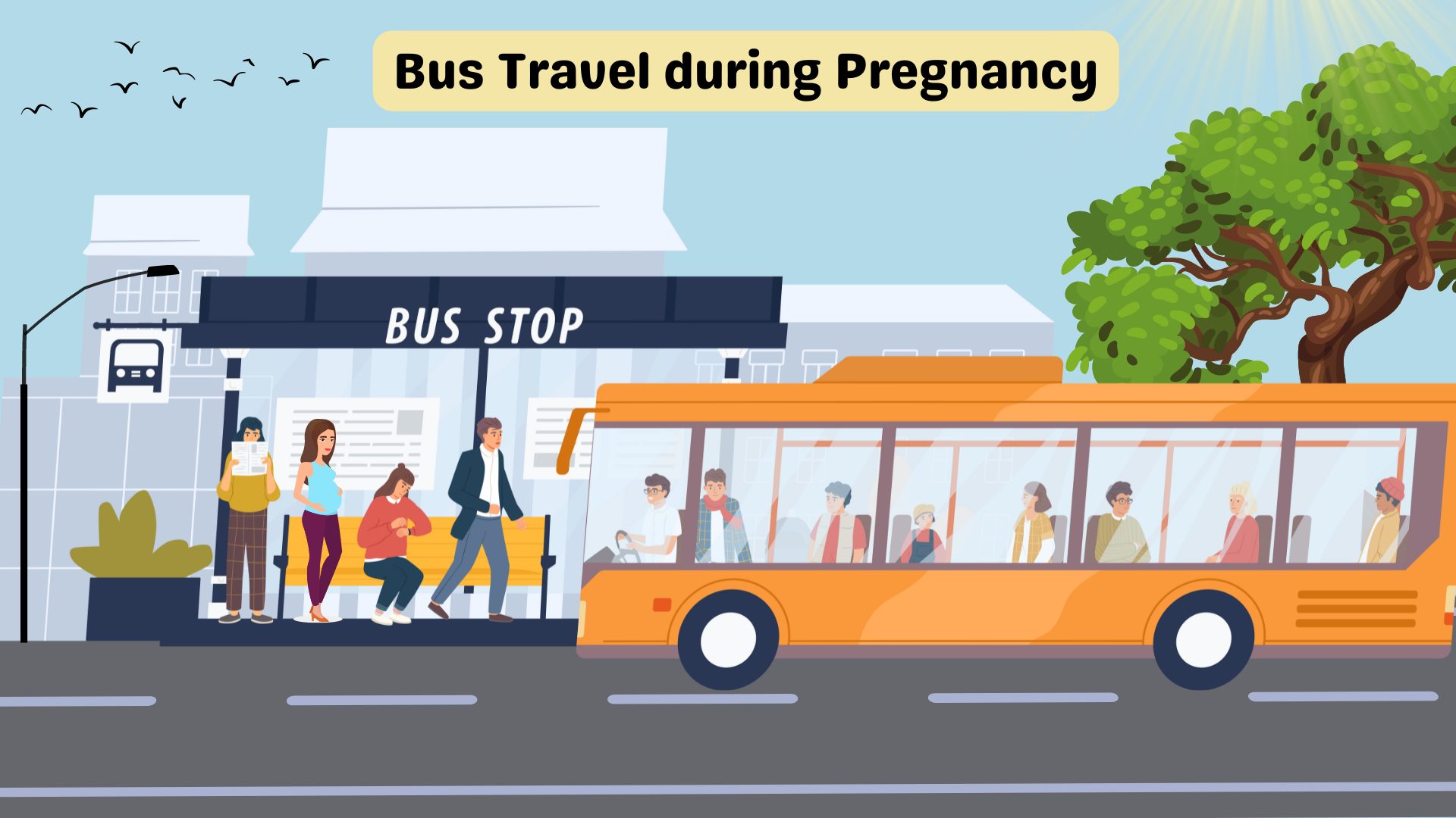 Bus Travel during Pregnancy