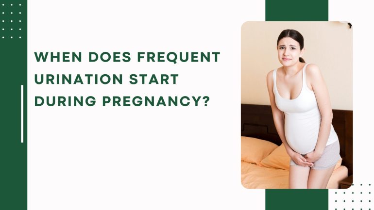 Frequent Urination During Pregnancy - Causes and Solutions