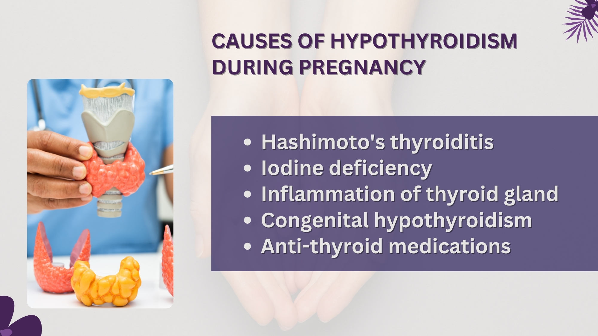 Honey And Thyroid Hormone Regulation During Pregnancy photo