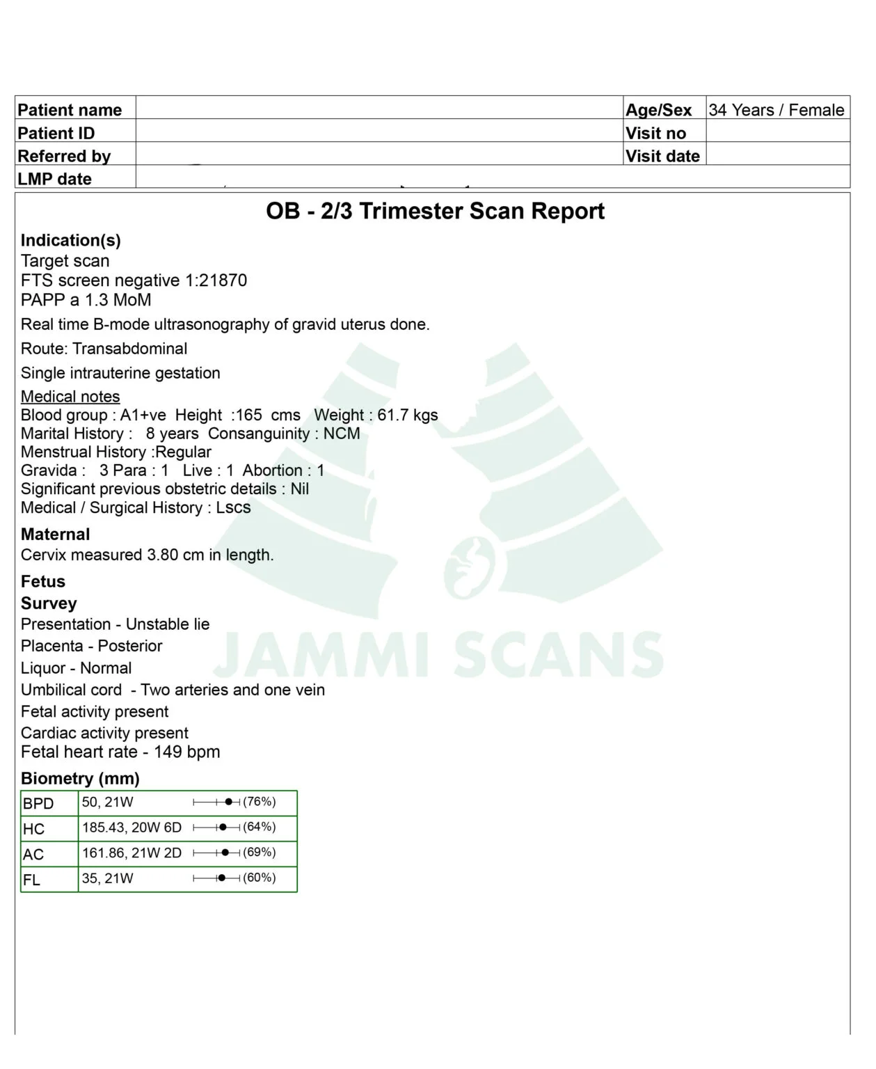 anomaly-scan-report-1-1259x1536