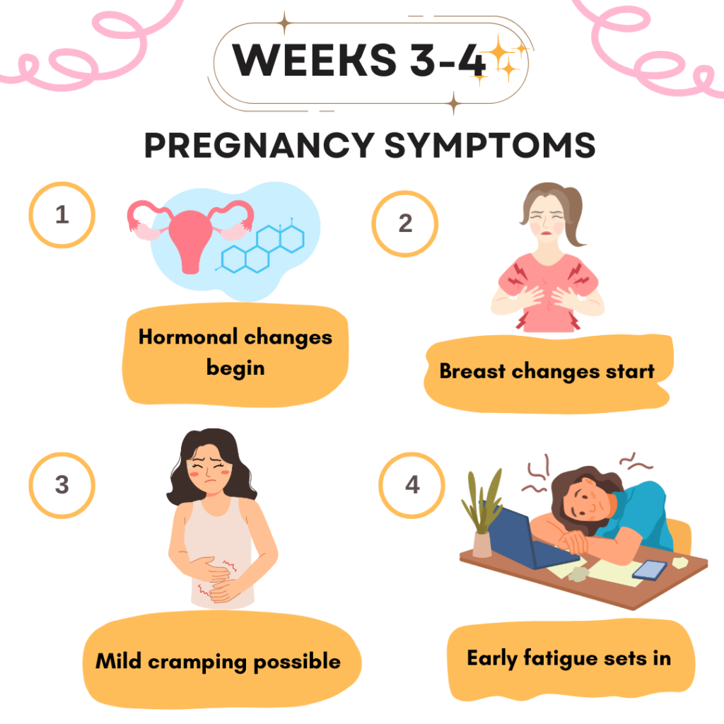 pregnancy symptoms week 3-4