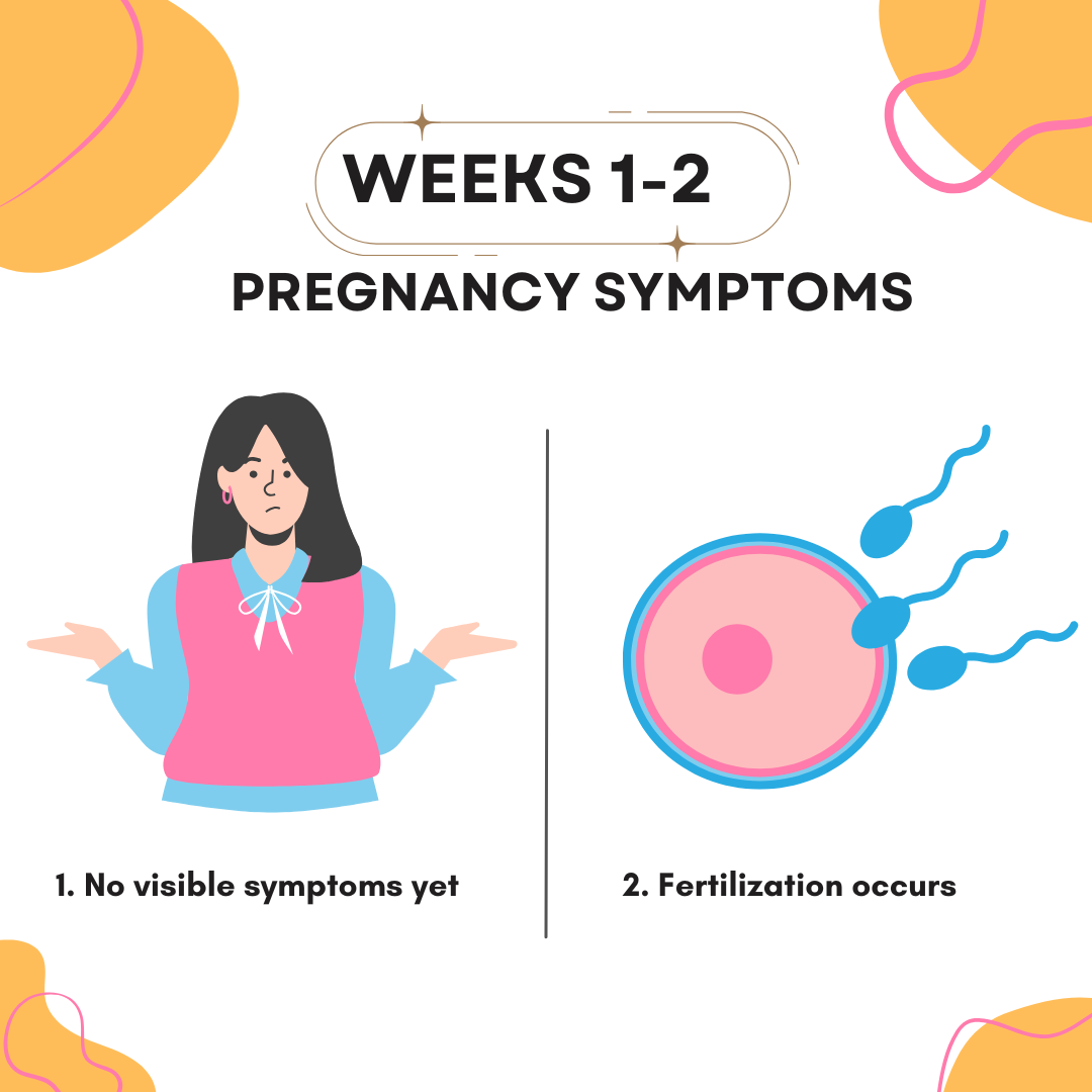 pregnancy symptoms week 1-2