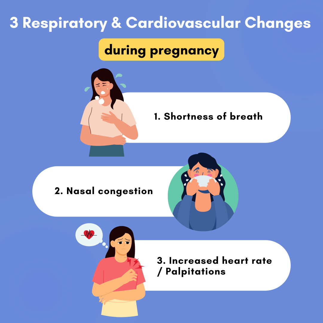 3 Respiratory & Cardiovascular Changes