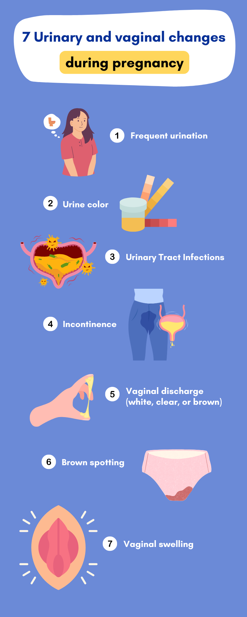 urinary and vaginal changes during pregnancy