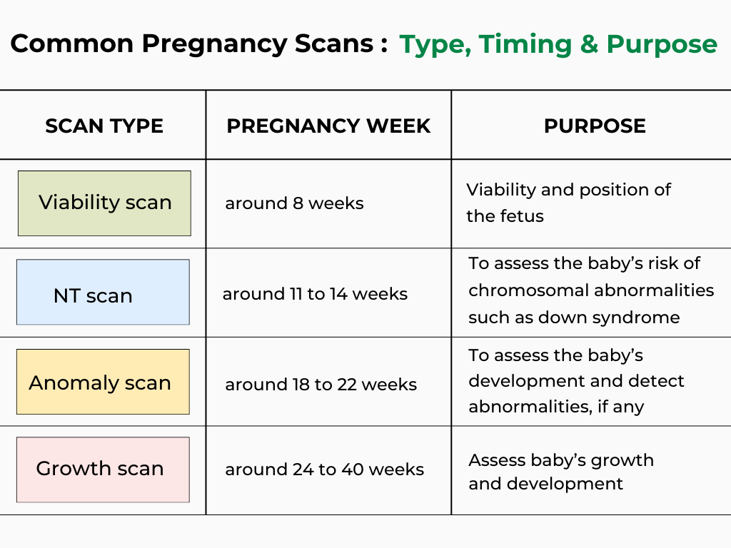 Common Pregnancy Scan Types, Timing & Purpose