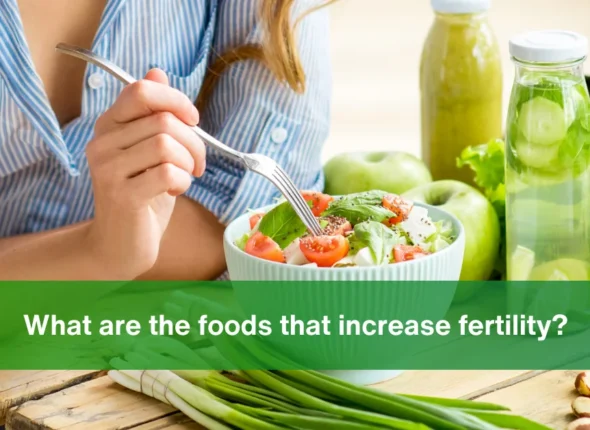 Food that increases fertility