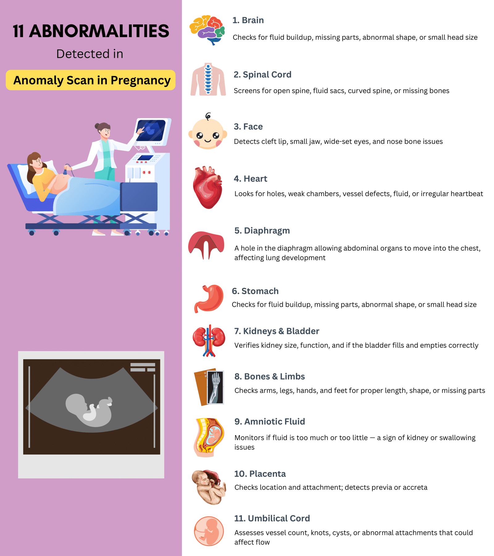 11 abnormalities - detected in anomaly scan - pregnancy