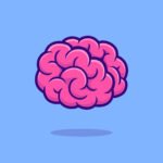 brain