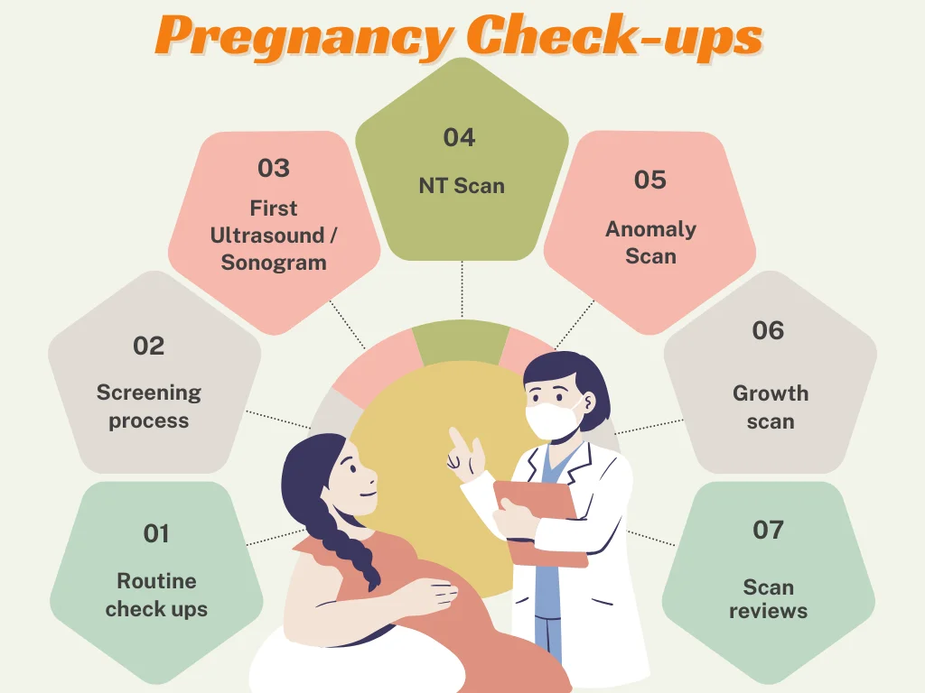 pregnancy consultation in chennai - Pregnancy check ups
