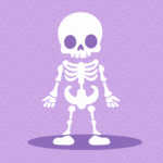 human bones
