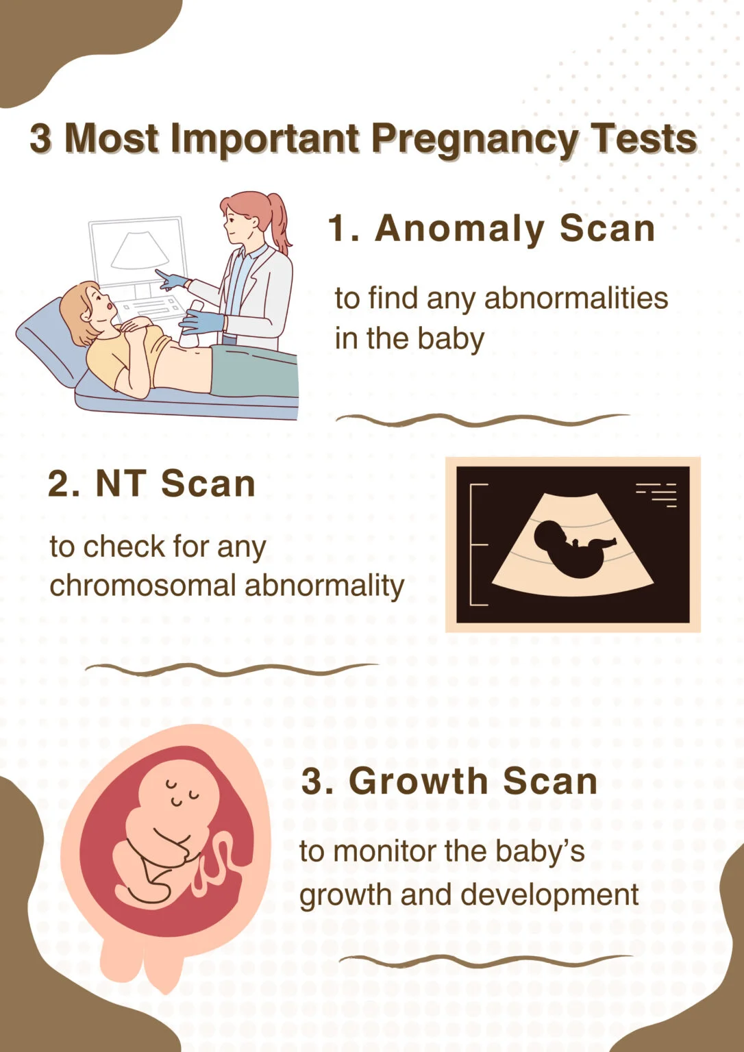 Important Scans During Pregnancy