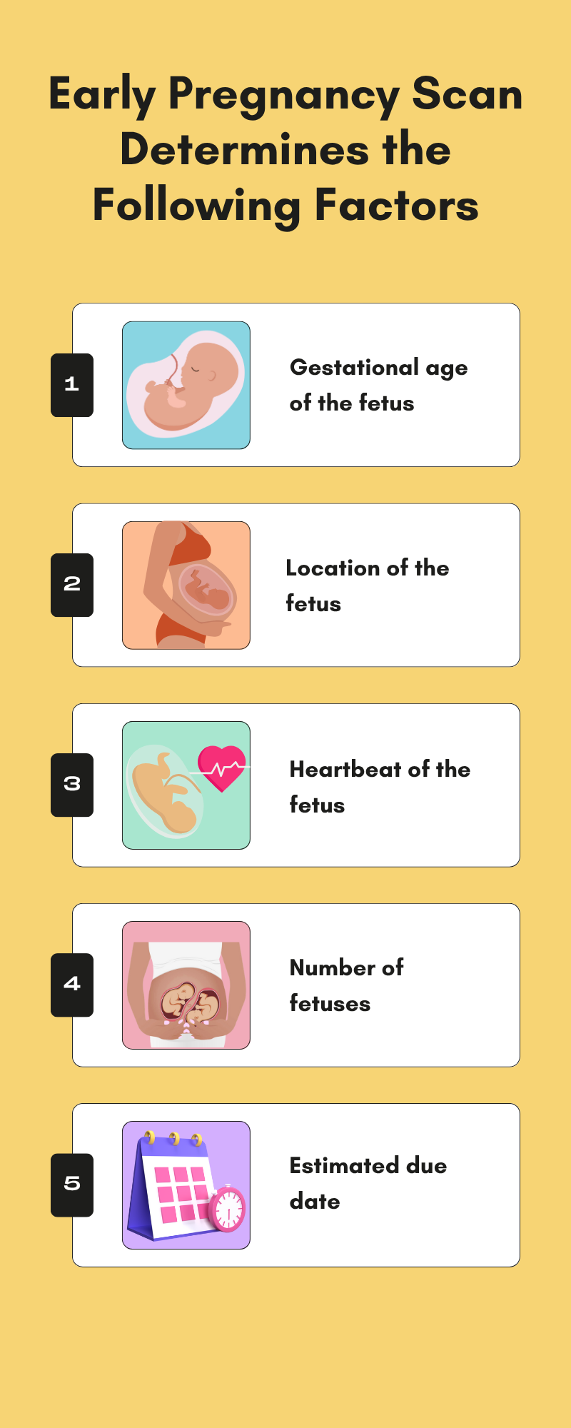 Early Pregnancy Scan in Chennai