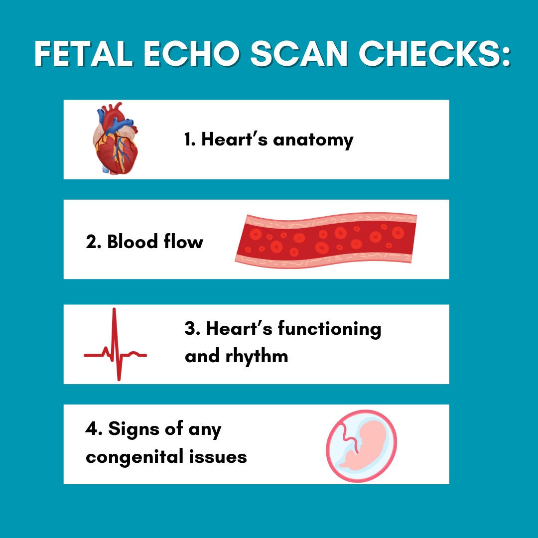Fetal Echo Scan price in chennai