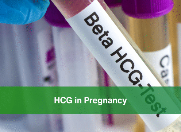 hCG in Pregnancy