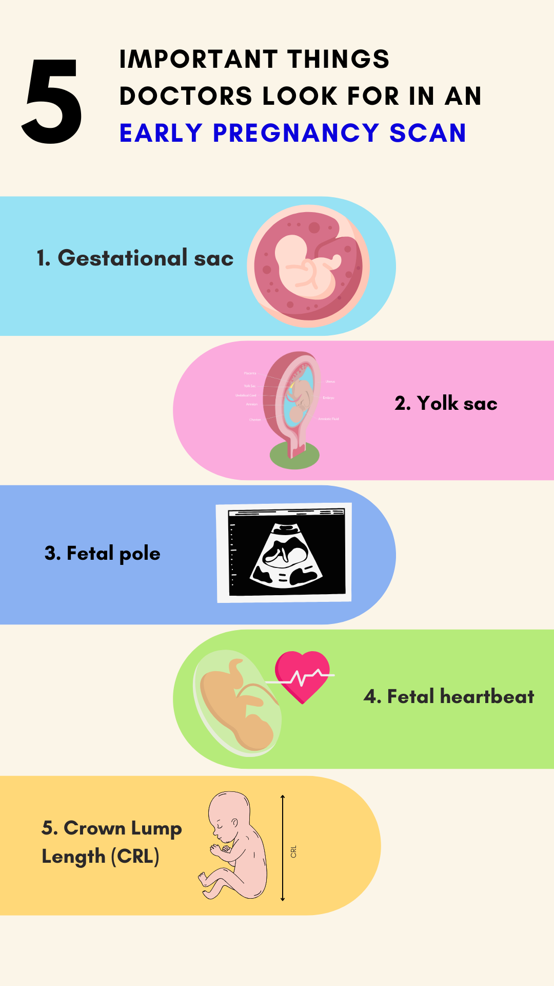 5 Important Things Doctors Look for in an Early Pregnancy Scan (1)