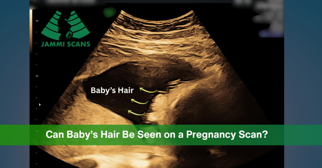 Can I see baby's hair on a Pregnancy Scan
