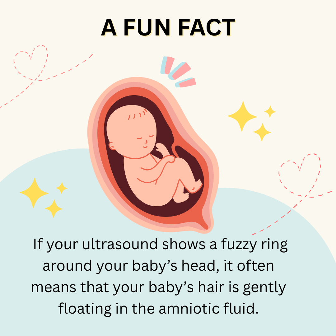 fun fact Baby's hair