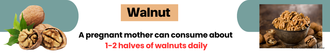 Walnut in pregnancy