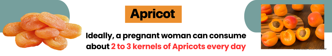 apricot in pregnancy