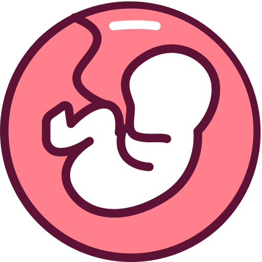 Umbilical Cord