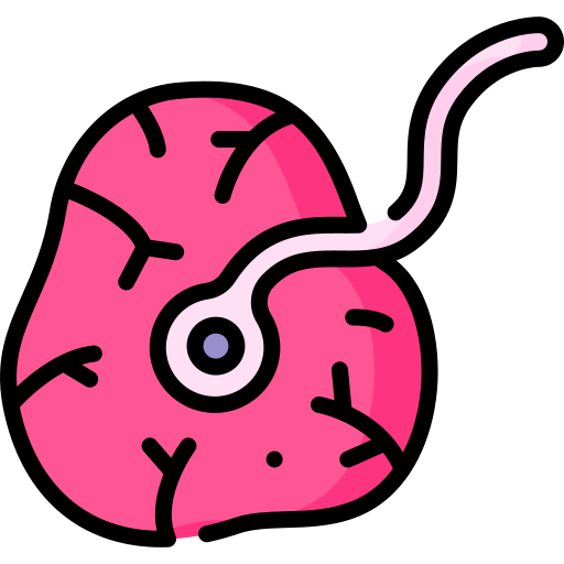 Amniotic Placenta