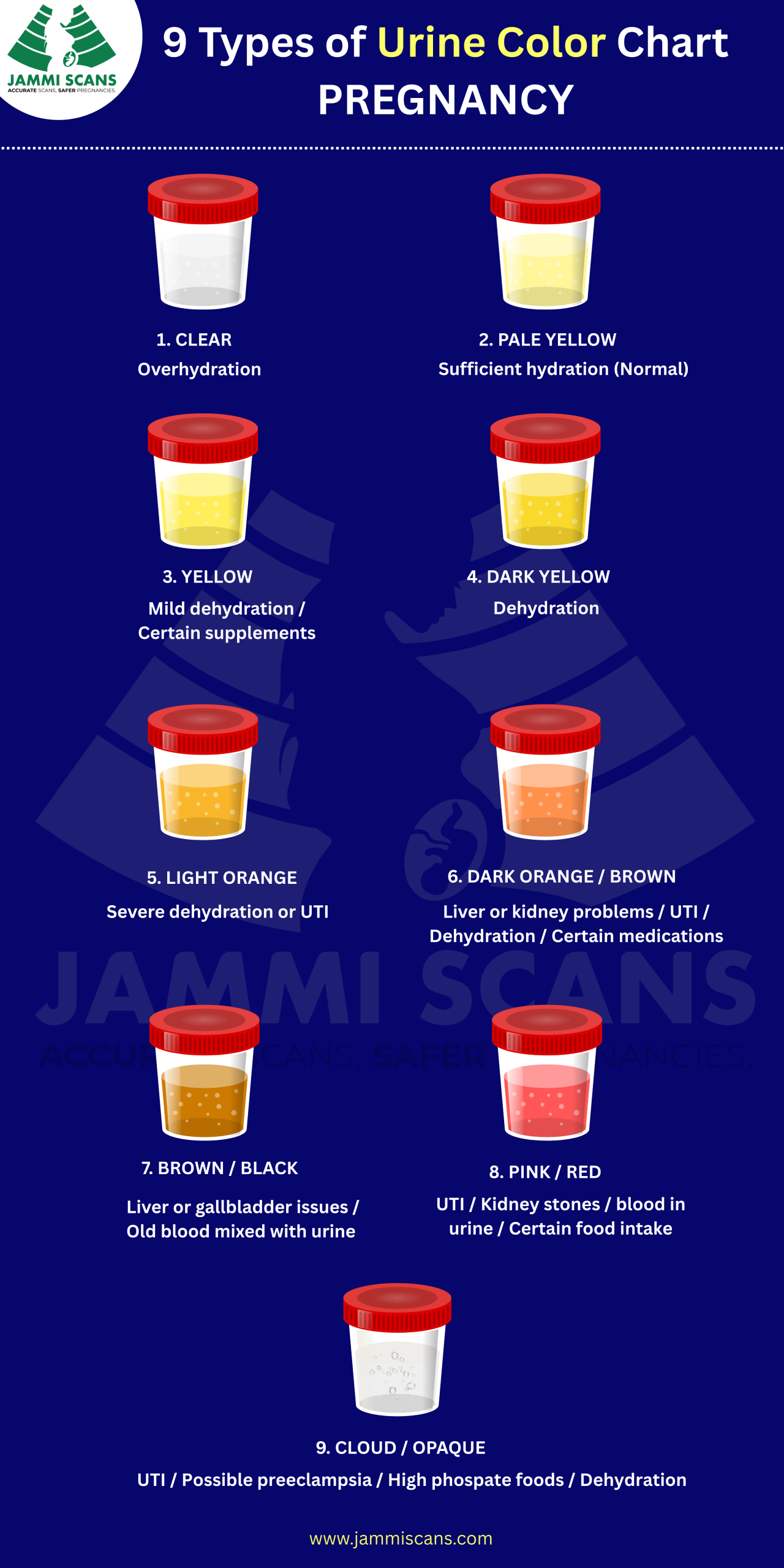 Urine Color During Pregnancy: Which Urine colour is Normal?