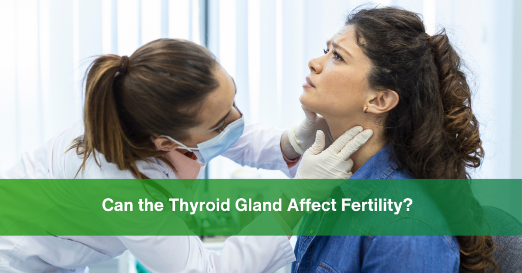 Can the Thyroid Gland Affect Fertility