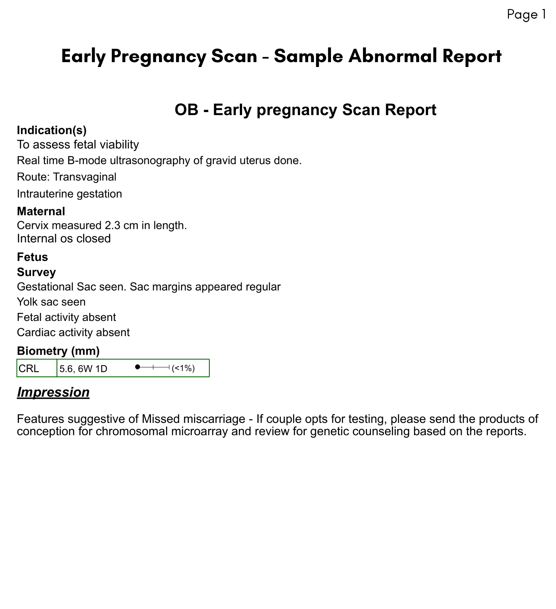 Abnormal Report Sample