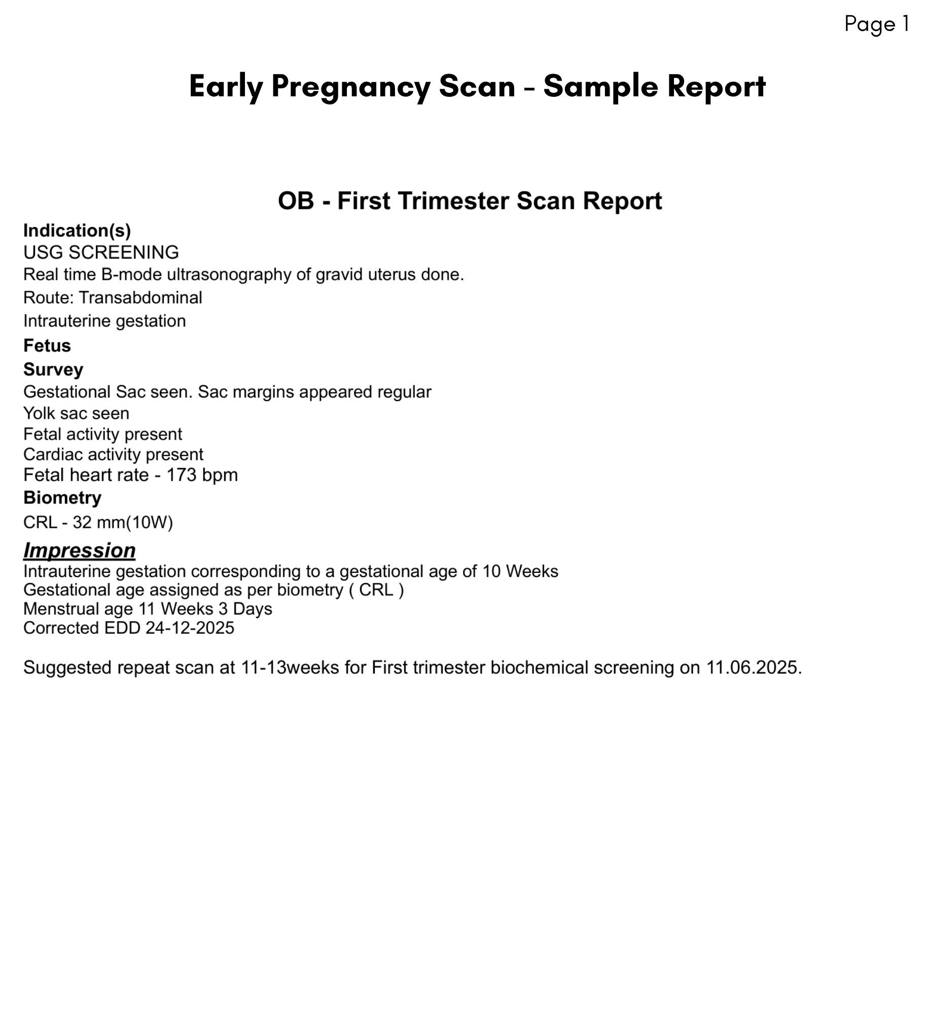 Normal Report Sample
