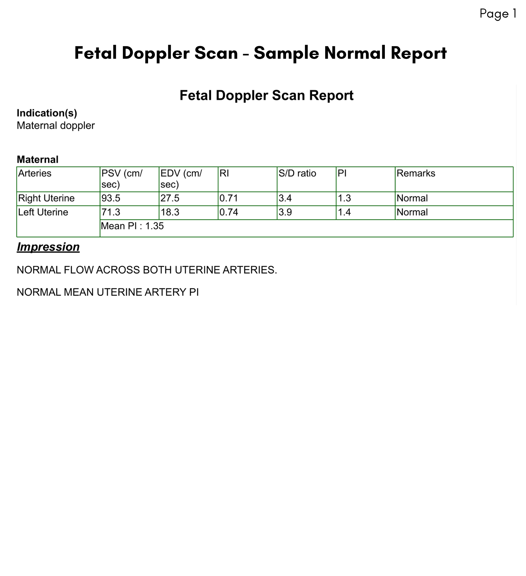 Normal Report Sample