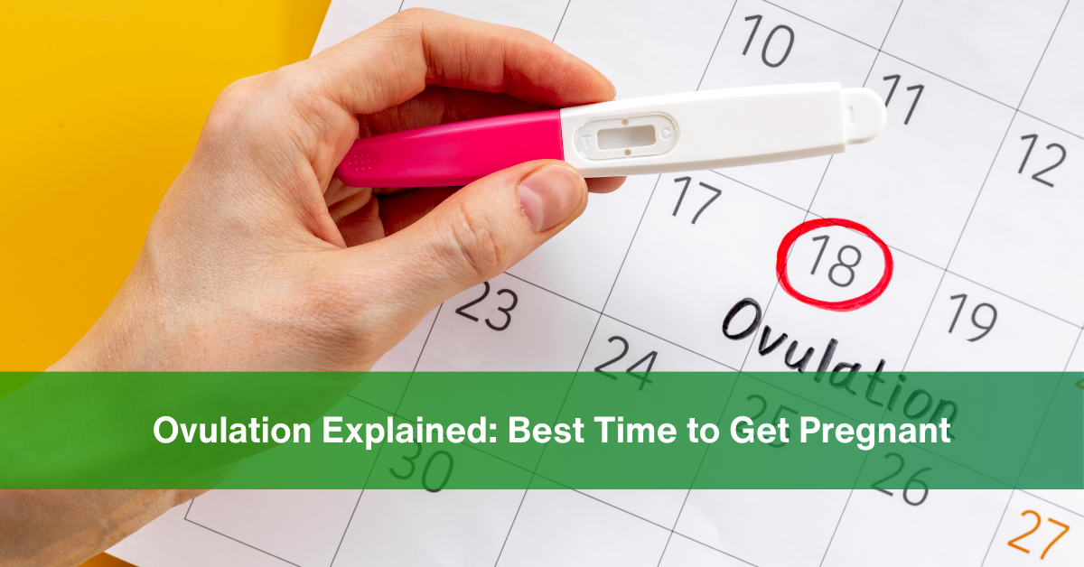 ovulation