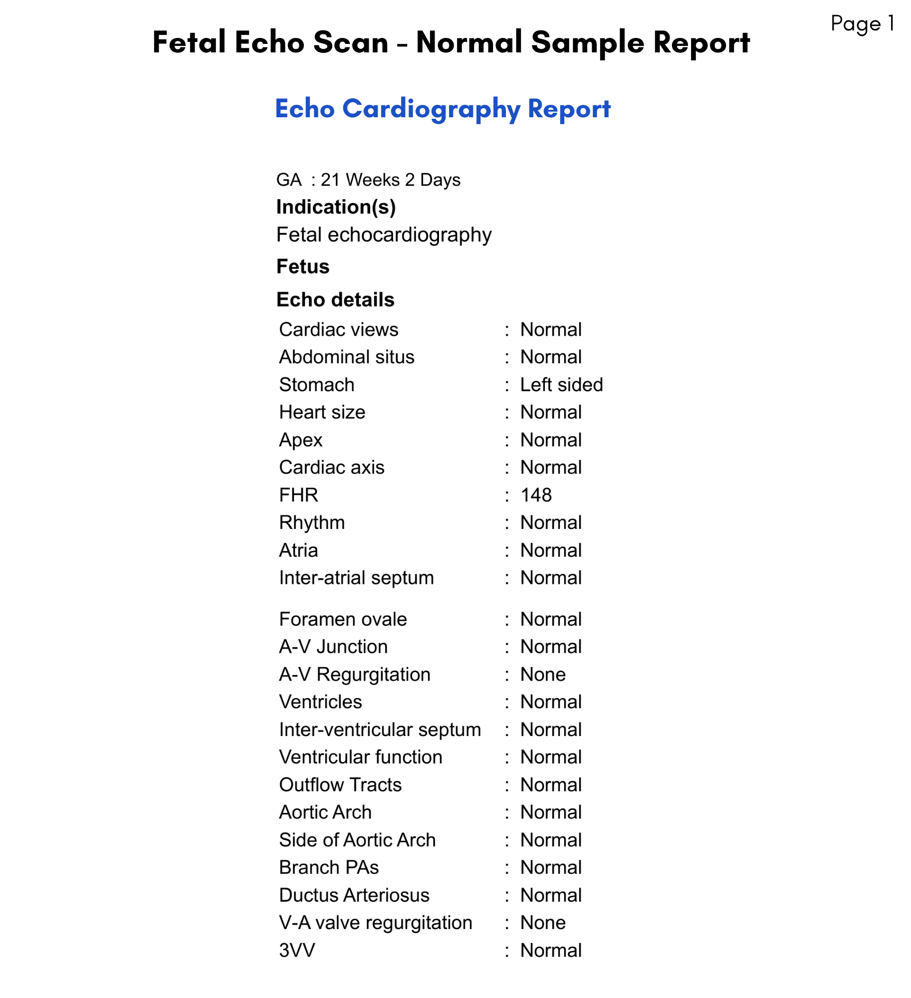 Normal Report Sample