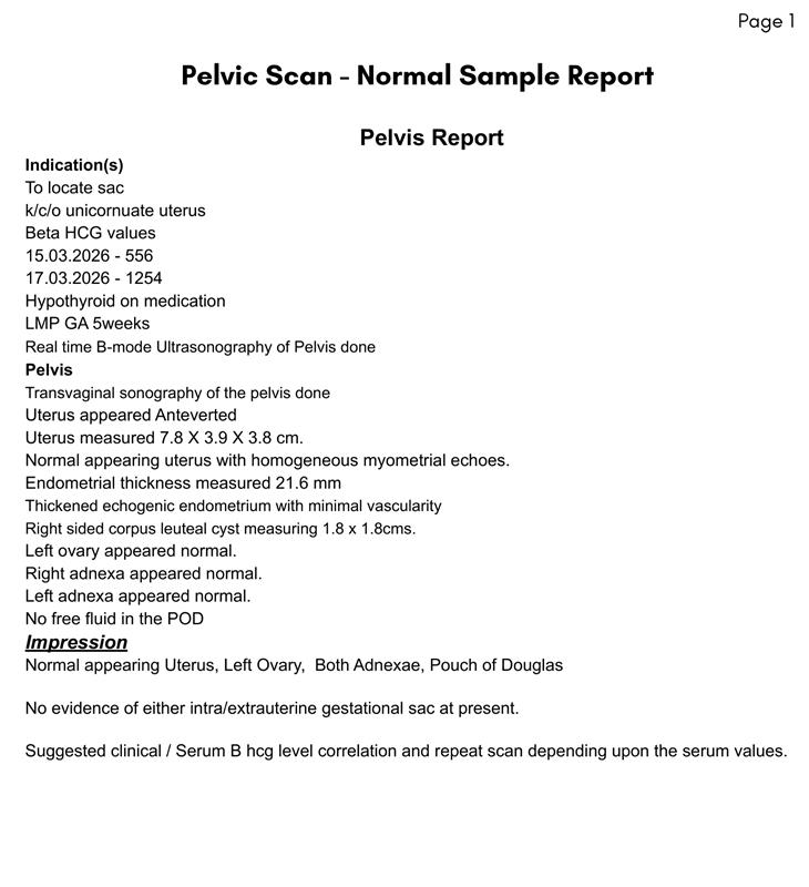 Normal Report Sample