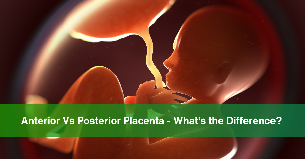 Anterior Vs Posterior Placenta