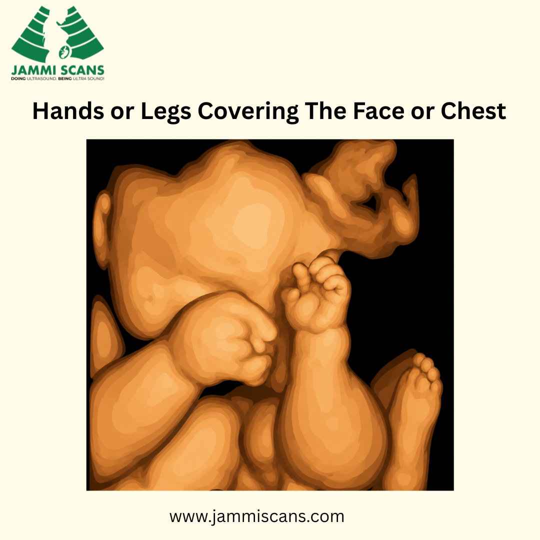Hands or Legs Covering The Face or Chest
