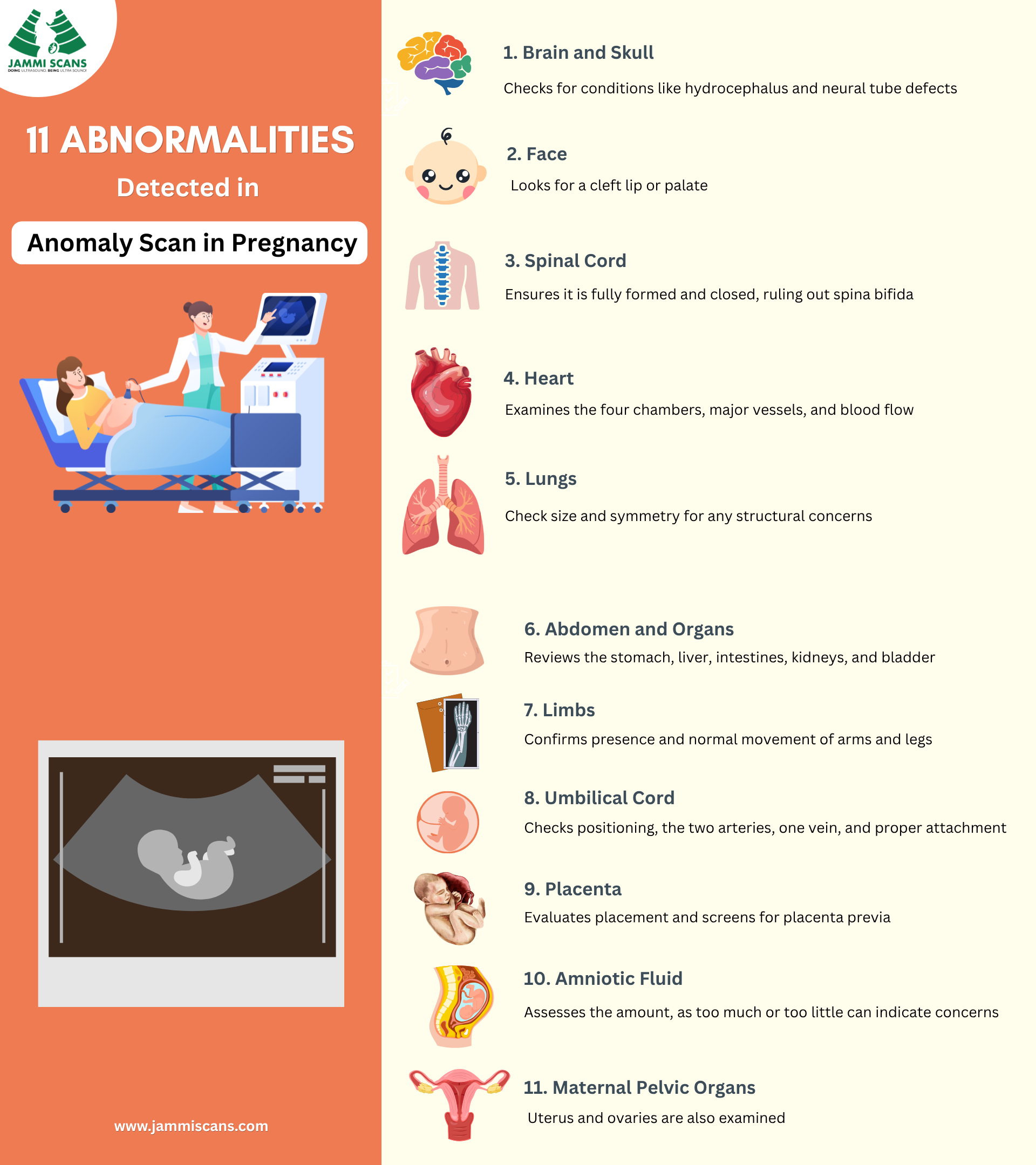 11 abnormalities detected in Anomaly Scan 