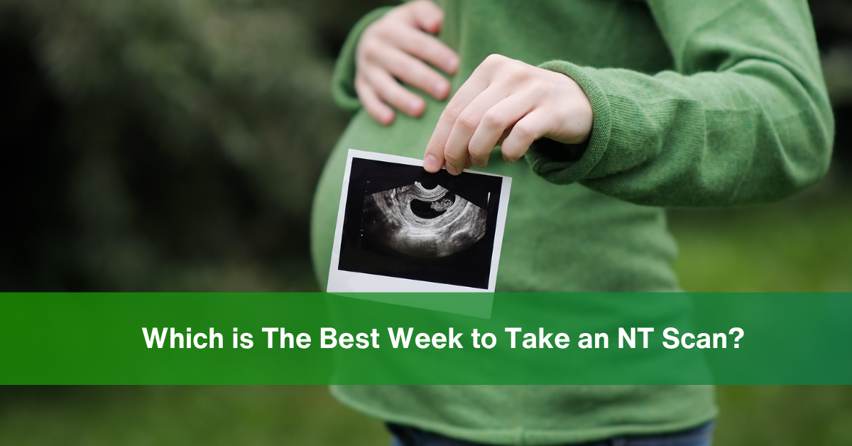 Which is The Best Week to Take an NT Scan